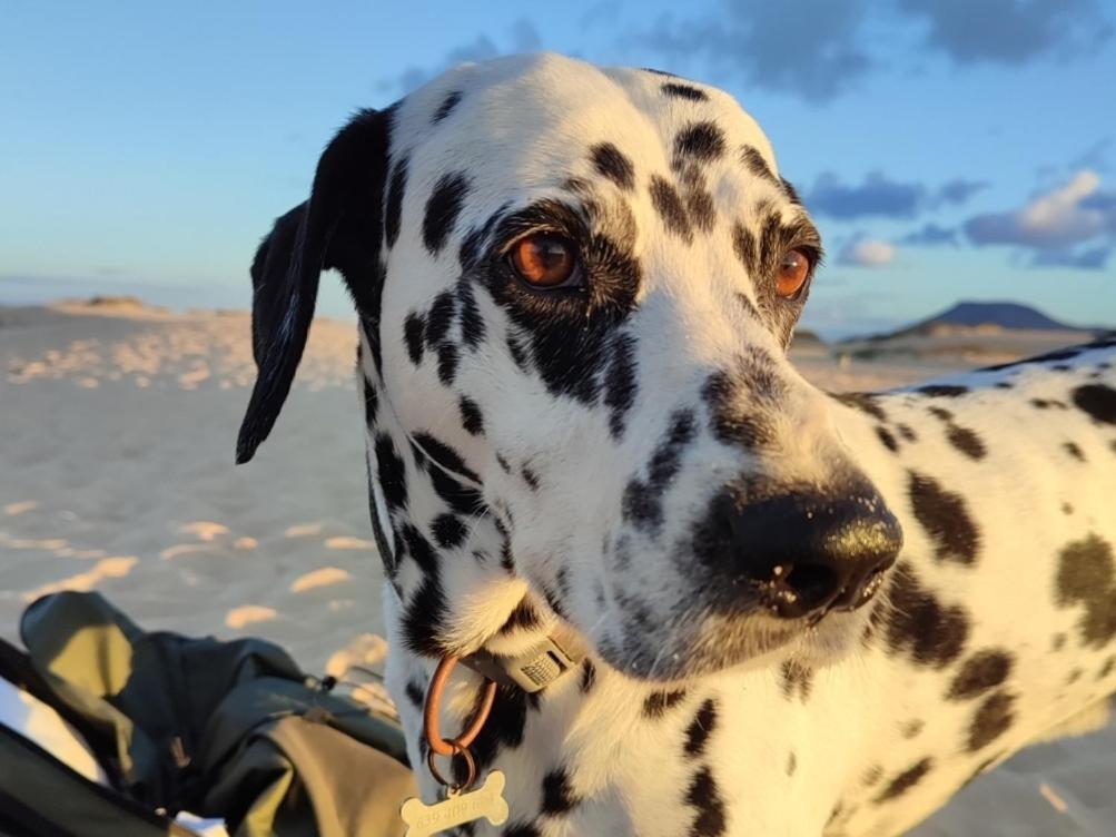 Fuerteventura Casa Tikuna La Oliva Exteriér fotografie